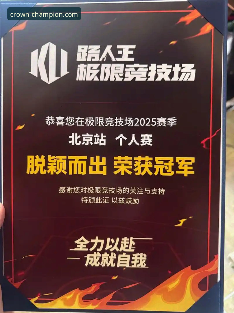 资深用户分享：从一场史诗级附加赛，看冠军娱乐平台如何重塑观赛体验